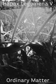 Hapax Legomena V: Ordinary Matter