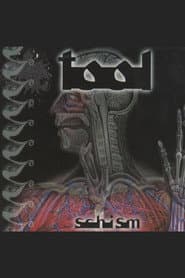 TOOL - Schism
