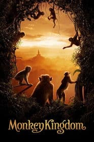 Monkey Kingdom