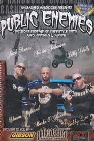 Public Enemies