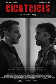 Cicatrices