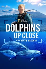 Dolphins Up Close with Bertie Gregory