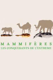Mammifères, les conquérants de l'extrême