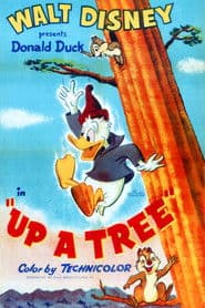 Up a Tree