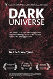 Dark Universe