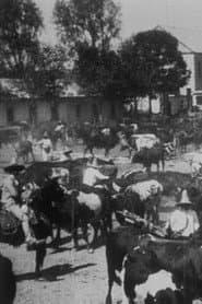 Lassage des bœufs pour le labour