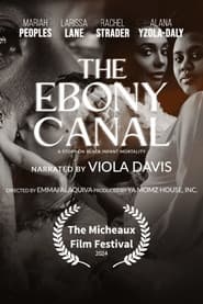 The Ebony Canal: A Story of Black Infant Mortality