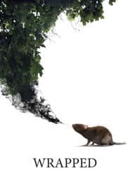 Wrapped