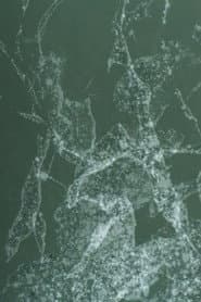 early summer, dust in the wind