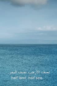 one emerging from a point of view