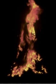 Untitled: 'Silueta' Sequence No. 2