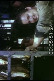 Landscape. Portrait. Still Life