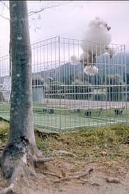 About Dogs And People