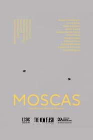 Moscas