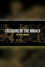 Treasure of The Ninja II: Rise of the Ultra Ninja