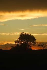 Yvy Pyte - Coração da Terra (Guaiviry)