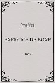 Exercice de boxe