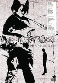 When Elvis Came to Visit