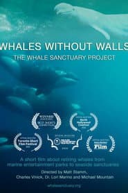 Whales Without Walls
