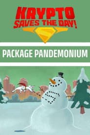 Krypto Saves the Day!: Package Pandemonium