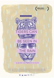 Tigers Can Be Seen In The Rain