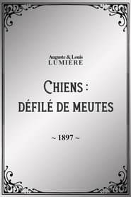 Chiens : défilé de meutes