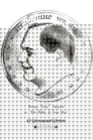 The Dollar-a-Year Man