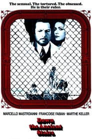 Down the Ancient Stairs