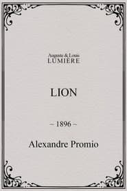 Lion, London Zoological Gardens