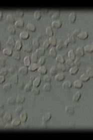 Let Me Count the Ways: 10...9…8…7…6