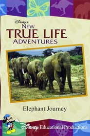 Elephant Journey