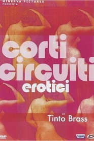 Tinto Brass presenta Corti circuiti erotici 2DVD