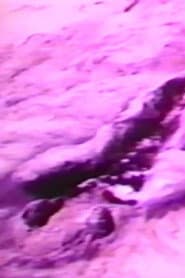 Filmworks, August 1980 (La Ventosa and San Felipe, Mexico)