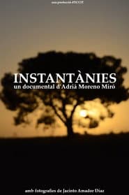 Instantànies
