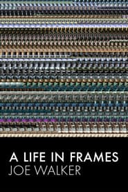A Life in Frames — Joe Walker