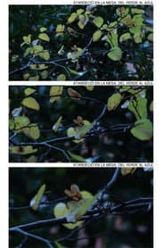 Atardeció en la mesa, del verde al azul