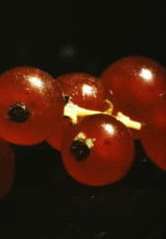 and so it came about (A Tale of Consequential Dormancy)