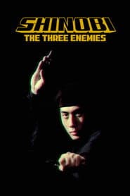 Shinobi no mono 8: The Three Enemies