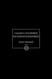 Calino courtier en paratonnerres