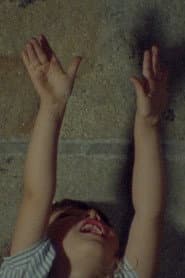 Domesticar Há Milénios