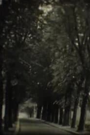 In Search of the Temple