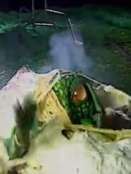 Videozone: The Making of Seedpeople