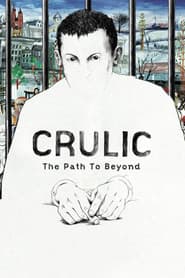 Crulic: The Path to Beyond