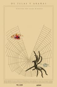 Of Webs and Spiders