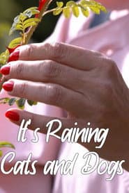 It's Raining Cats and Dogs