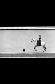 Bay Horse, Ridden by Thérèse Rentz, Canter