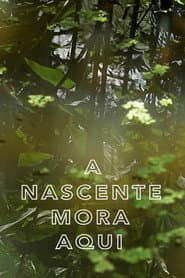 A Nascente Mora Aqui
