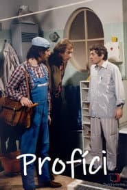 Profíci aneb Když nejsou lidi