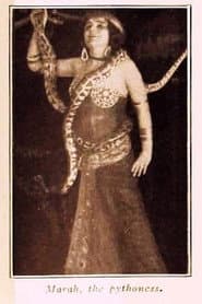 Marah, the Pythoness