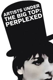 Artists Under the Big Top: Perplexed